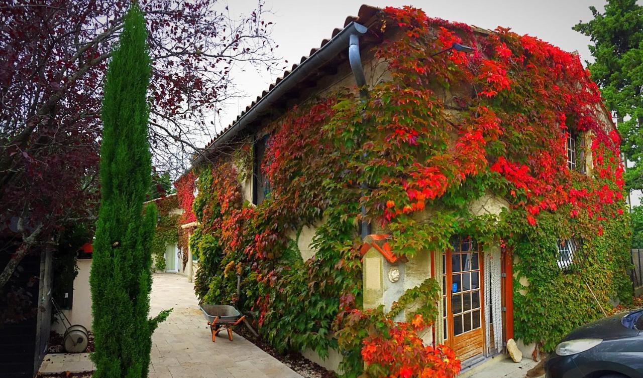 Le Mas Des Abeilles - Chambres D'Hotes En Drome Provencale La Bégude-de-Mazenc 外观 照片